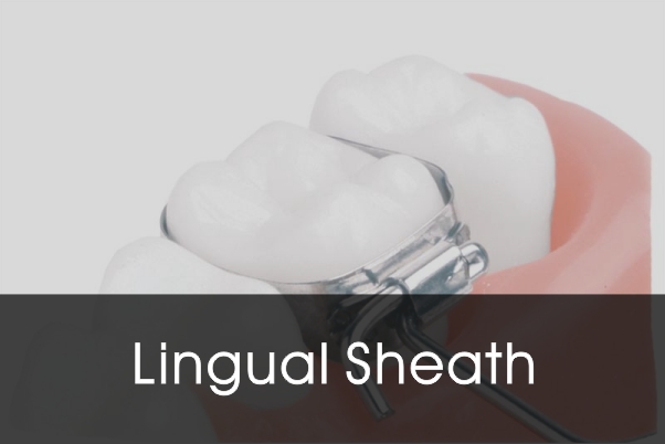 Lingual Sheath
